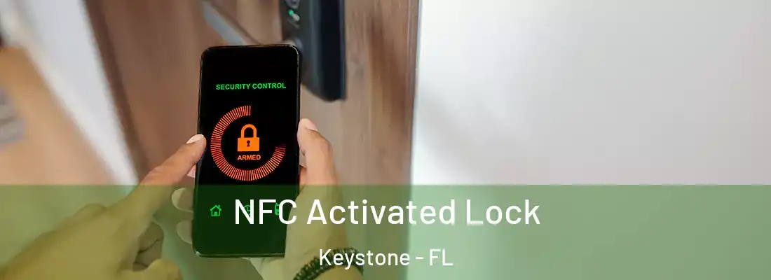 NFC Activated Lock Keystone - FL