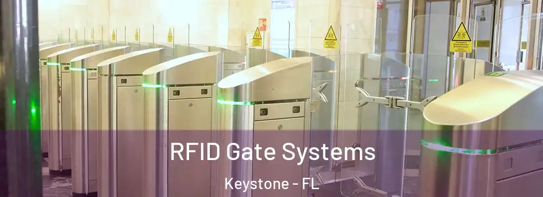RFID Gate Systems Keystone - FL
